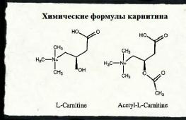 Как принимать л -карнитин, показания, дозировка l - carnitine