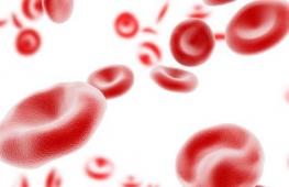Почему в крови повышен белок, что это значит?